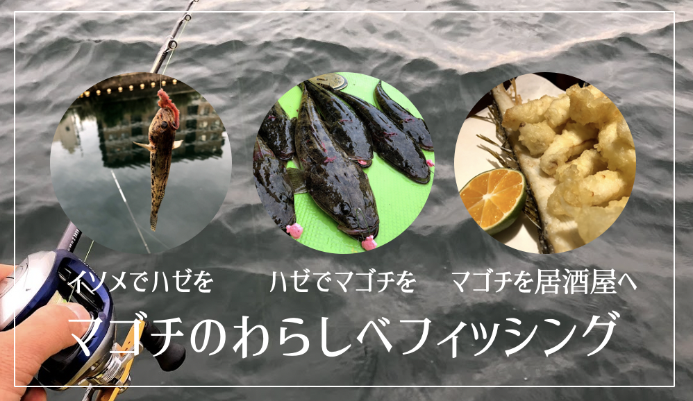 江戸前高級魚マゴチ イソメを買ってハゼを釣って それを泳がせてマゴチを釣って 刺し身と天ぷらで食す 釣りバカたくみんの つりいろ ブログ