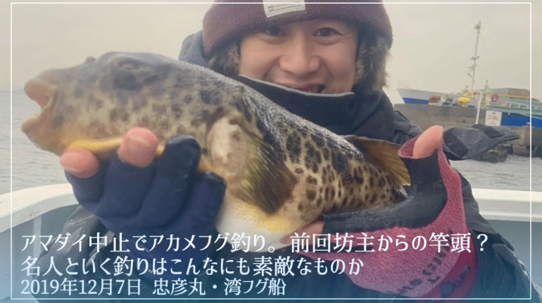 ショウサイフグ 釣りバカたくみんの つりいろ ブログ