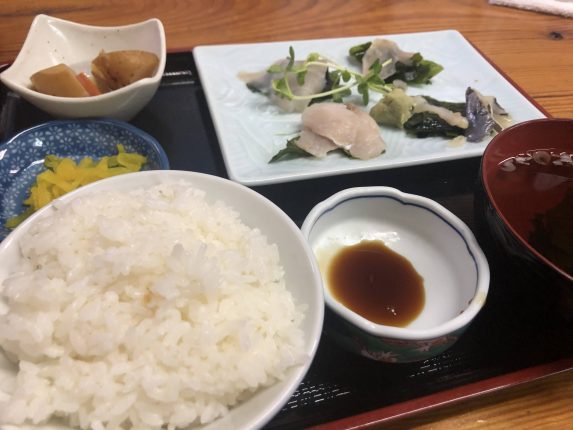 【vol2 元町港編】10月の伊豆大島遠征。早朝にアカハタGET＆初心者に50cmOVERの魚が！？20201003